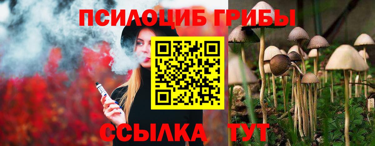 Кумертау  Псилоцибиновые грибы Psilocybine cubensis  Вход с VPN 